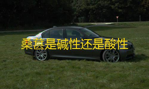 第五人格透视 挂 免费桑葚是碱性还是酸性